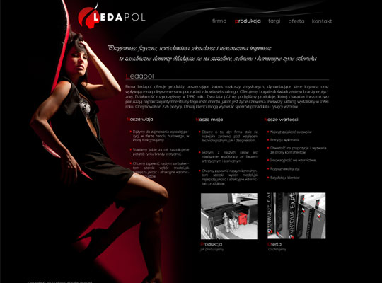 projekt strony internetowej dla firmy Ledapol